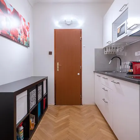 Historic Spirit At Under The Castle Praga